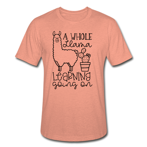 113-3657593-2479407 - heather prism sunset