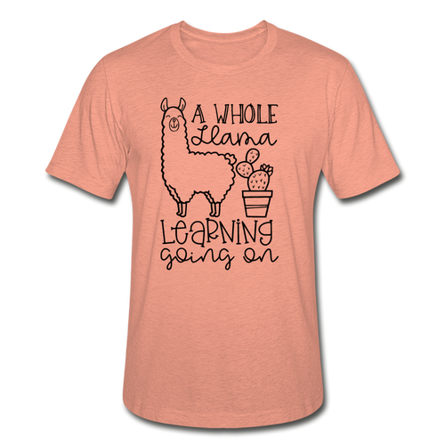 113-2260924-9574605 - heather prism sunset