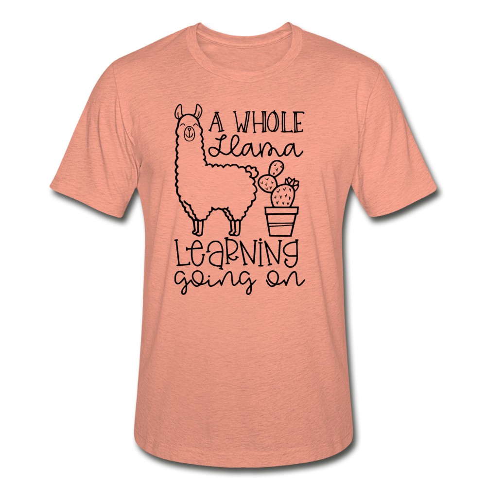 111-6027879-3103437 - heather prism sunset