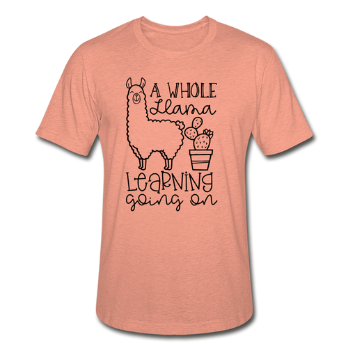 111-4311528-8820215 - heather prism sunset