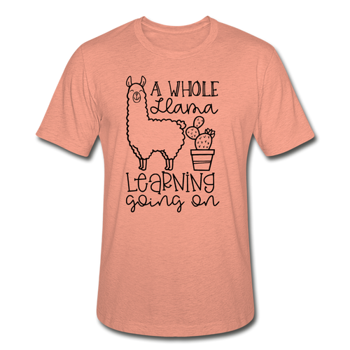 112-0216274-4508276 - heather prism sunset