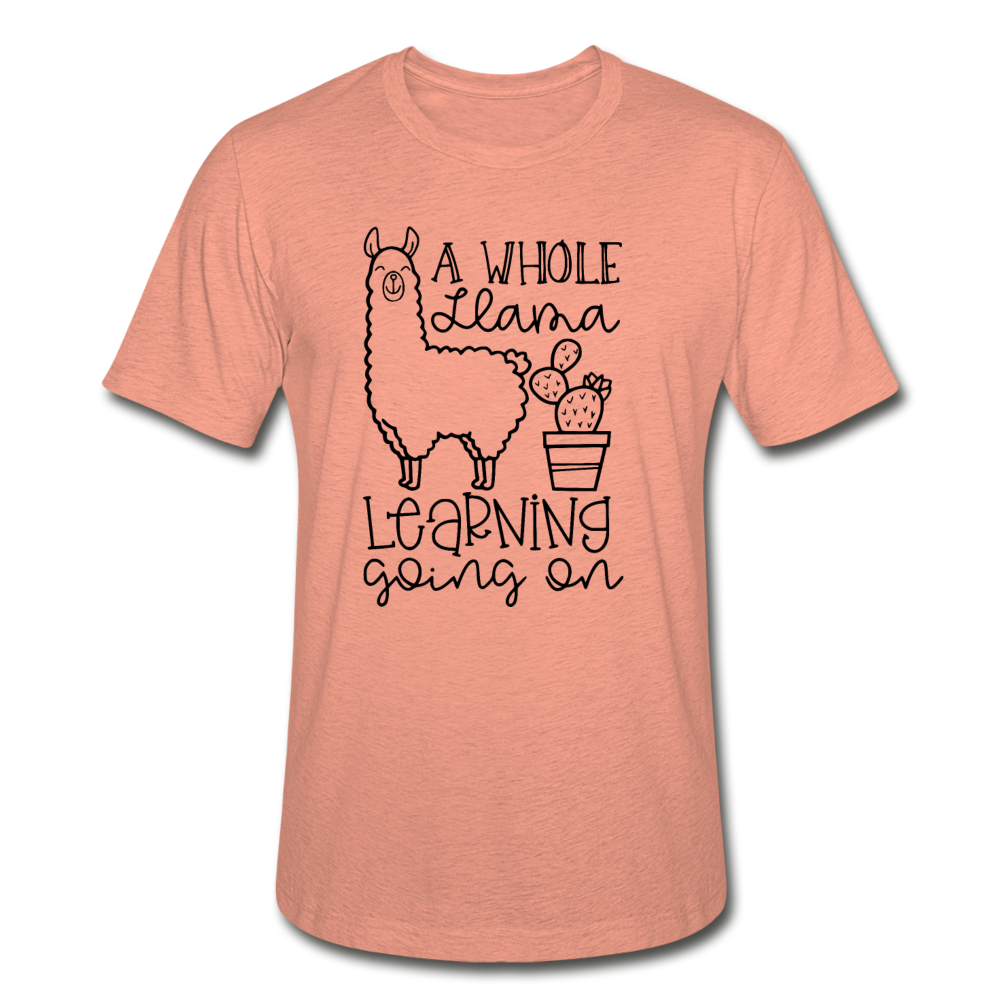 114-2957787-7396263 - heather prism sunset