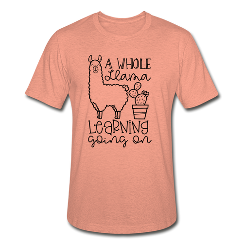 113-4973615-6219426 - heather prism sunset