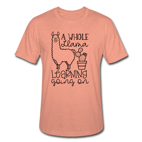 114-8631159-7323411 - heather prism sunset