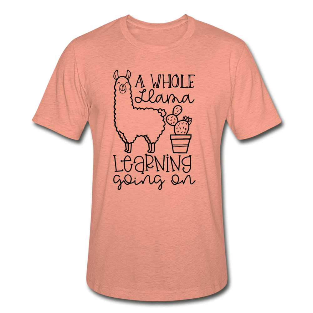 114-8631159-7323411 - heather prism sunset